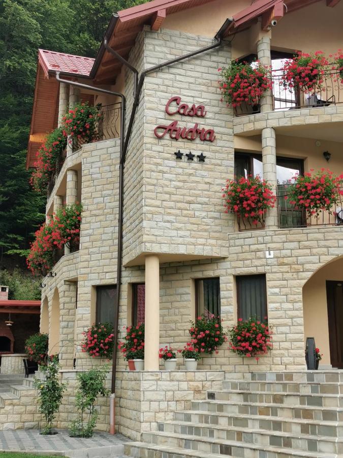 Casa Andra Hotel Slanic Moldova Exterior photo