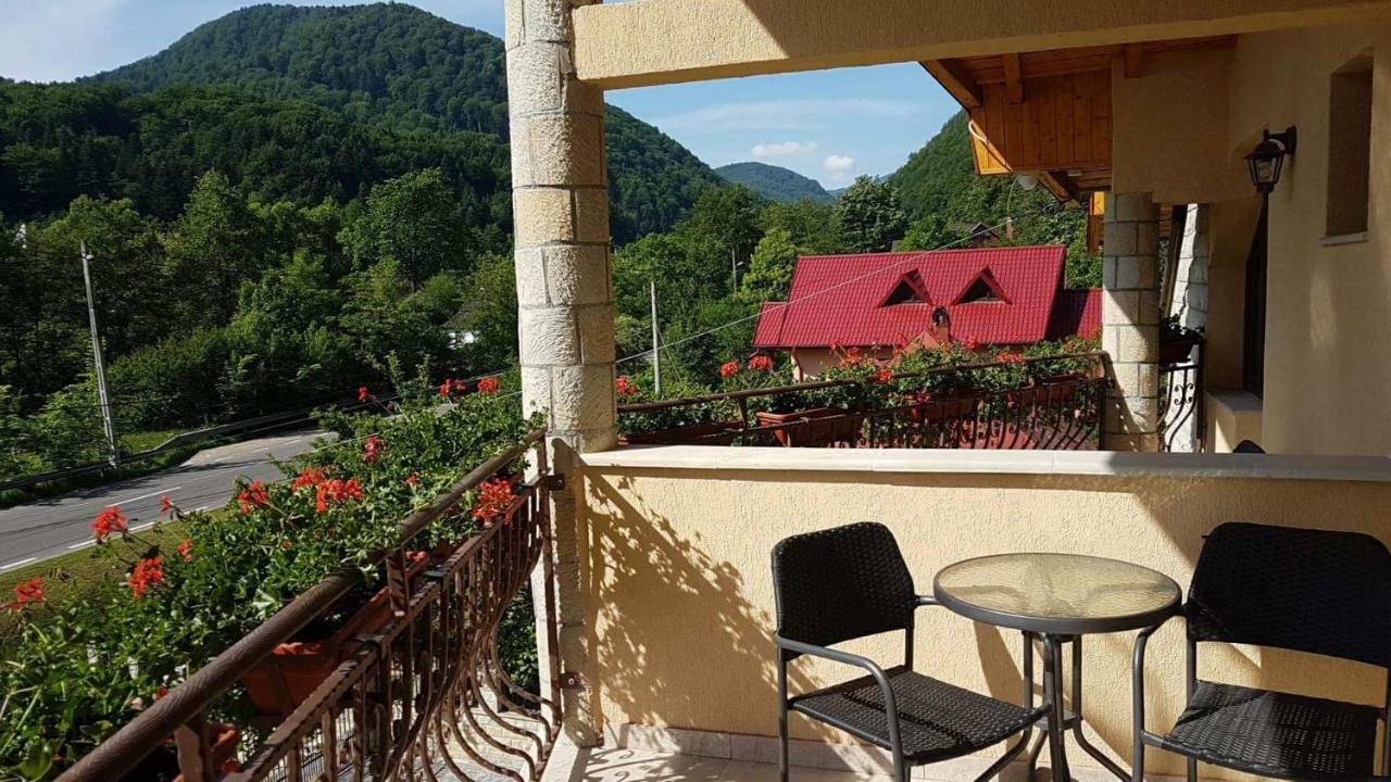 Casa Andra Hotel Slanic Moldova Exterior photo