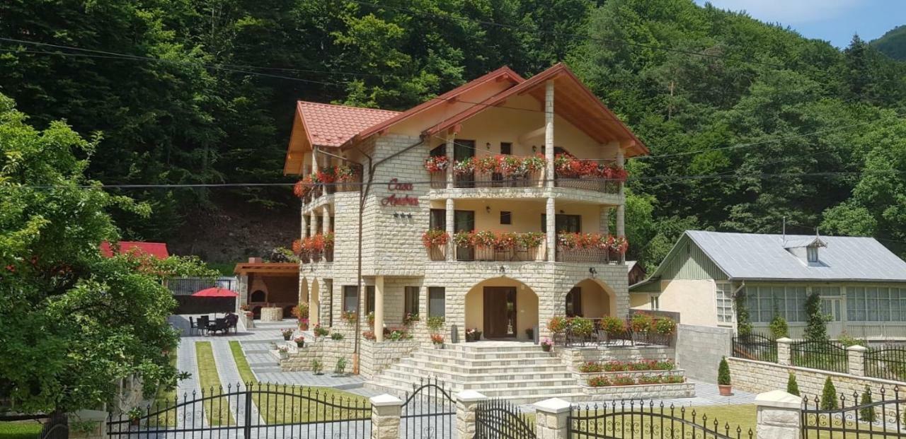 Casa Andra Hotel Slanic Moldova Exterior photo