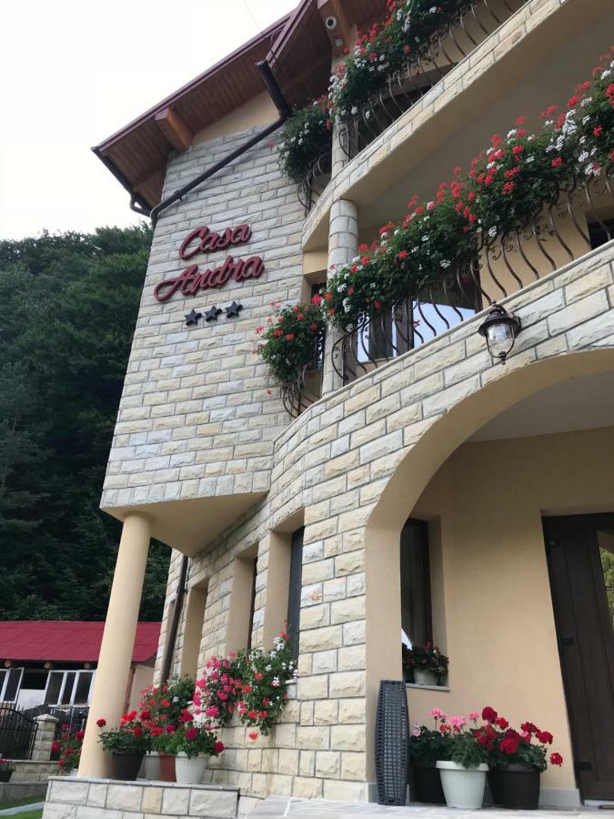 Casa Andra Hotel Slanic Moldova Exterior photo